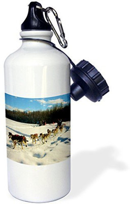 

3dRose 621 ml Water Purifier Bottle(White)