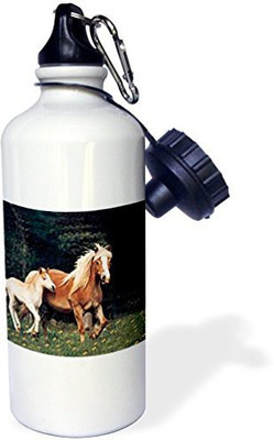 

3dRose 621 ml Water Purifier Bottle(White)