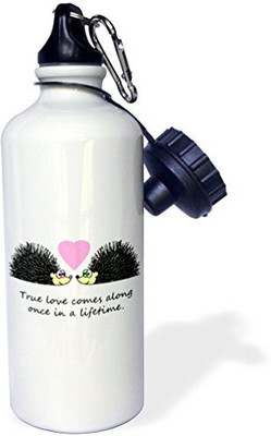 

3dRose 621 ml Water Purifier Bottle(White)