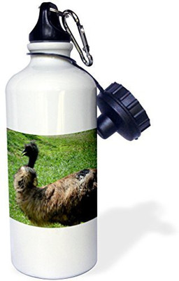 

3dRose 621 ml Water Purifier Bottle(White)