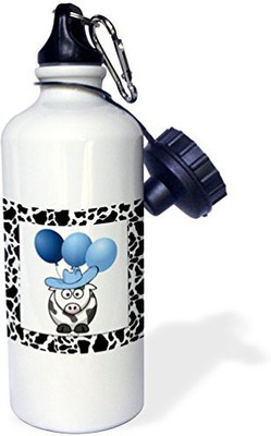 

3dRose 621 ml Water Purifier Bottle(White)