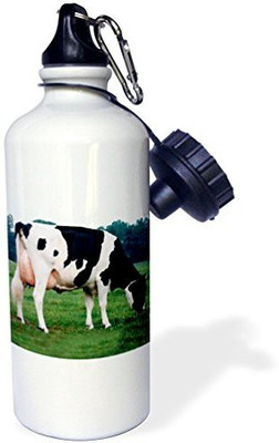 

3dRose 621 ml Water Purifier Bottle(White)