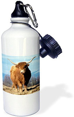 

3dRose 621 ml Water Purifier Bottle(White)