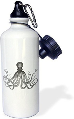 

3dRose 621 ml Water Purifier Bottle(White)