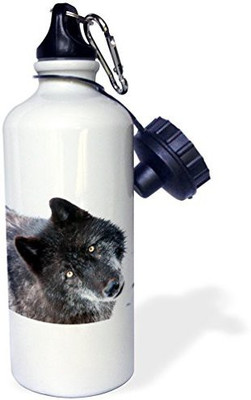 3dRose 621 ml Water Purifier Bottle(White)