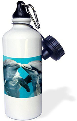 

3dRose 621 ml Water Purifier Bottle(White)