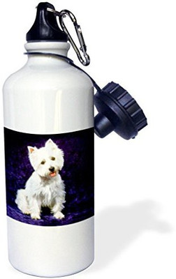 

3dRose 621 ml Water Purifier Bottle(White)