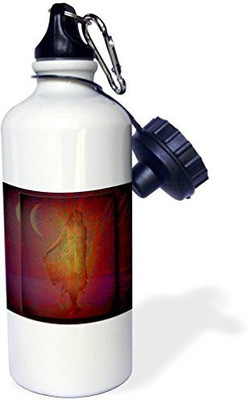 

3dRose 621 ml Water Purifier Bottle(White)