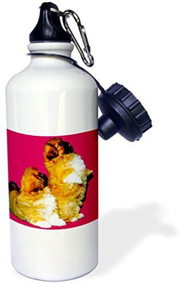 

3dRose 621 ml Water Purifier Bottle(White)