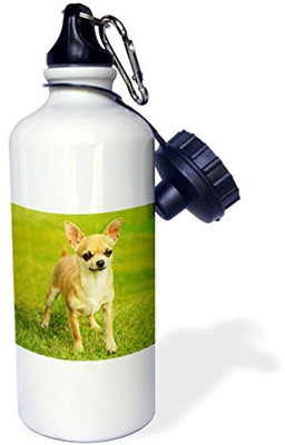 

3dRose 621 ml Water Purifier Bottle(White)