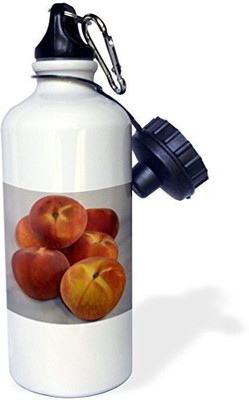 

3dRose 621 ml Water Purifier Bottle(White)