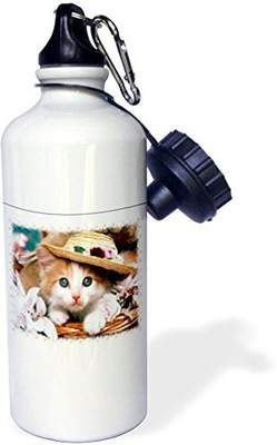 

3dRose 621 ml Water Purifier Bottle(White)