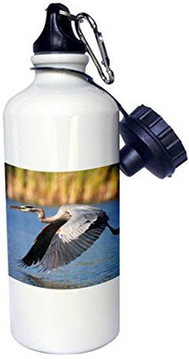 

3dRose 621 ml Water Purifier Bottle(White)