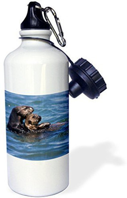 

3dRose 621 ml Water Purifier Bottle(White)