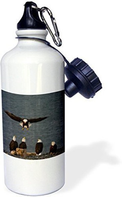

3dRose 621 ml Water Purifier Bottle(White)