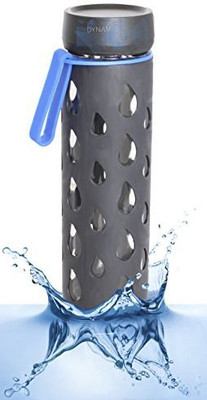 

Dynamis 591 ml Water Purifier Bottle(Grey)