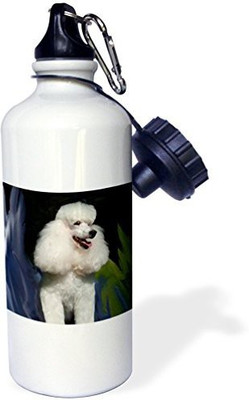

3dRose 621 ml Water Purifier Bottle(White)