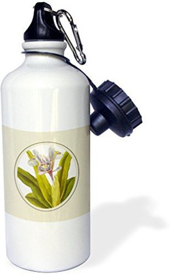 

3dRose 621 ml Water Purifier Bottle(White)