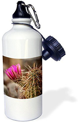 

3dRose 621 ml Water Purifier Bottle(White)