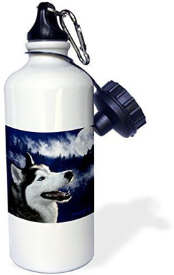 

3dRose 621 ml Water Purifier Bottle(White)