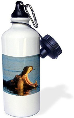 

3dRose 621 ml Water Purifier Bottle(White)