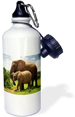 

3dRose 621 ml Water Purifier Bottle(White)