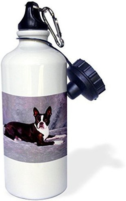 

3dRose 621 ml Water Purifier Bottle(White)