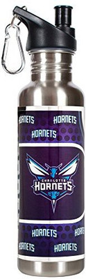 

Great American Products 769 ml Water Purifier Bottle(Silver)