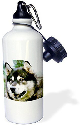 

3dRose 621 ml Water Purifier Bottle(White)