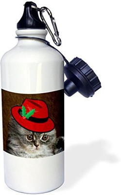 

3dRose 621 ml Water Purifier Bottle(White)