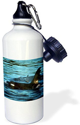 

3dRose 621 ml Water Purifier Bottle(White)