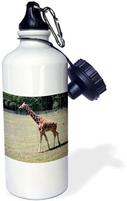 

3dRose 621 ml Water Purifier Bottle(White)