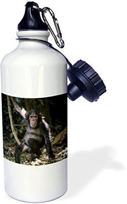 

3dRose 621 ml Water Purifier Bottle(White)