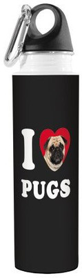 

Tree-Free Greetings 532 ml Water Purifier Bottle(Multicolor)