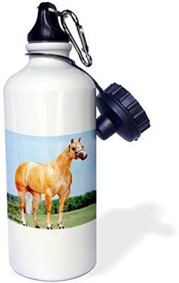 

3dRose 621 ml Water Purifier Bottle(White)