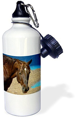 

3dRose 621 ml Water Purifier Bottle(White)