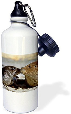 

3dRose 621 ml Water Purifier Bottle(White)
