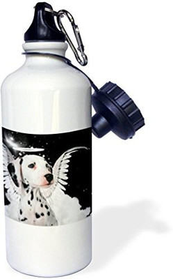 

3dRose 621 ml Water Purifier Bottle(White)