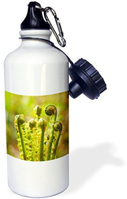 

3dRose 621 ml Water Purifier Bottle(White)