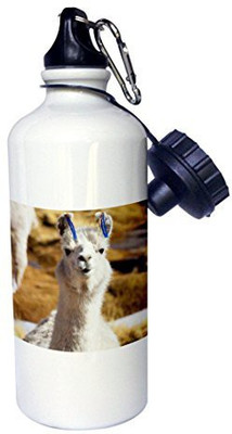 3dRose 621 ml Water Purifier Bottle(White)