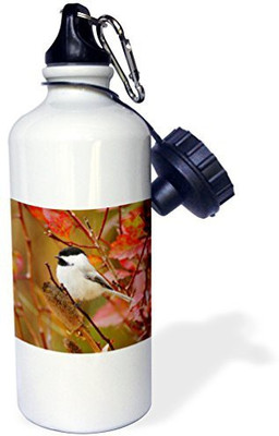 

3dRose 621 ml Water Purifier Bottle(White)
