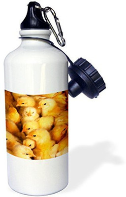 

3dRose 621 ml Water Purifier Bottle(White)