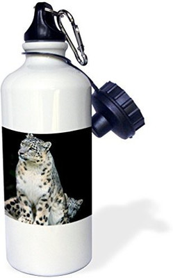 

3dRose 621 ml Water Purifier Bottle(White)