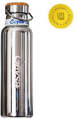 

Geysa 591 ml Water Purifier Bottle(Silver)