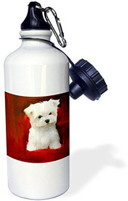 

3dRose 621 ml Water Purifier Bottle(White)