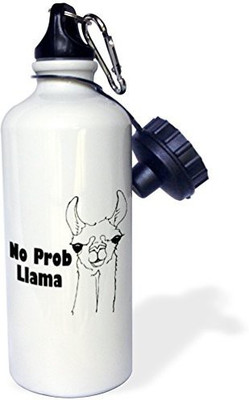

3dRose 621 ml Water Purifier Bottle(White)