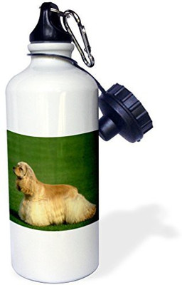 

3dRose 621 ml Water Purifier Bottle(White)