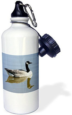 

3dRose 621 ml Water Purifier Bottle(White)