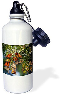 

3dRose 621 ml Water Purifier Bottle(White)