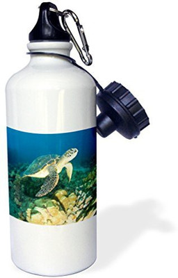 

3dRose 621 ml Water Purifier Bottle(White)